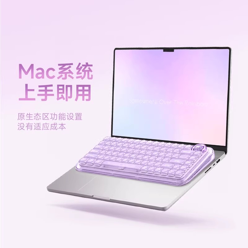 TTC Magnetic Switch, Tactile,  - Gaming Keyboard Hall Effect Switches ulasan dan harga